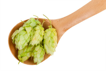 Similar image 1515679