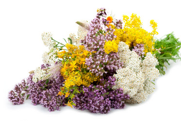 Similar image 1515680