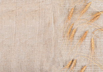 Similar image 1515686