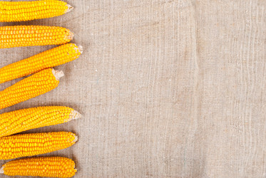 Similar image 1515698