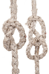 Similar image 1515727