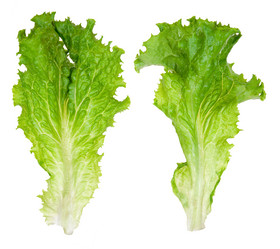 Similar image 1515740