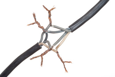 Similar image 1515752