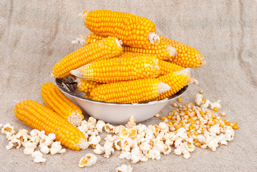 Similar image 1515755