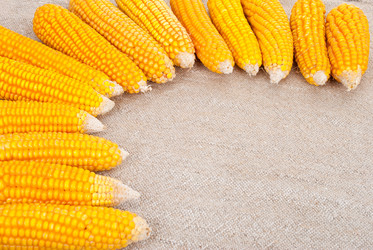 Similar image 1515758