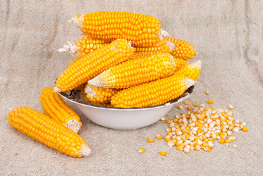 Similar image 1515762