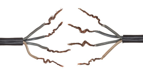 Similar image 1515813