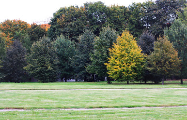 Similar image 1515946