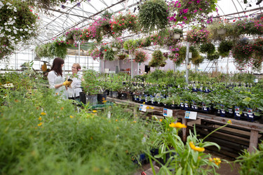 Similar image 1516014