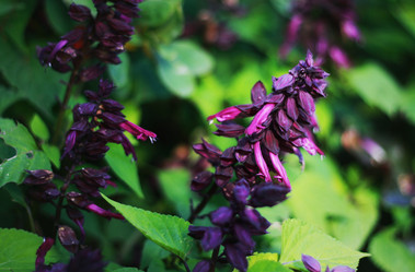 Similar image 1516029