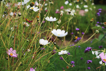 Similar image 1516033