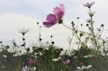 Similar image 1516036