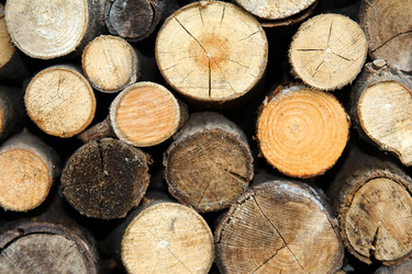 Similar image 1516066