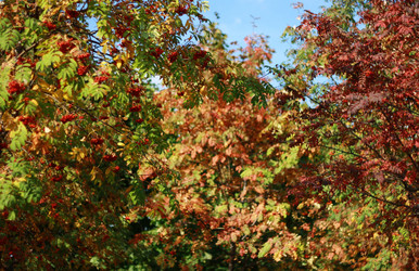 Similar image 1516069