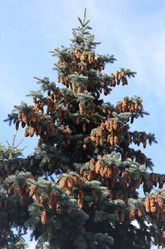 Similar image 1516327