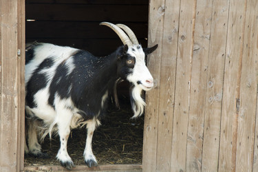 Similar image 1516333