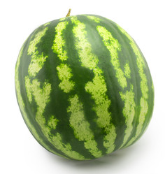 Similar image 1516947