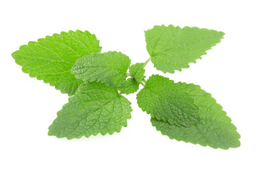 Similar image 1516952