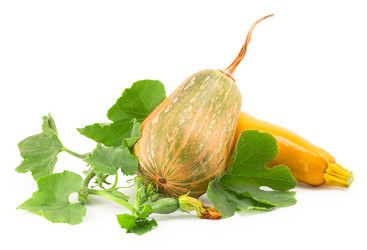 Similar image 1516954