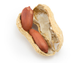 Similar image 1516966