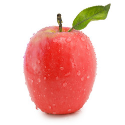 Similar image 1516972