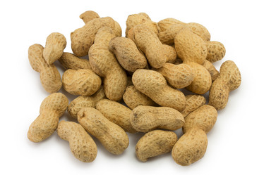 Similar image 1516974