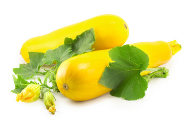 Similar image 1516977