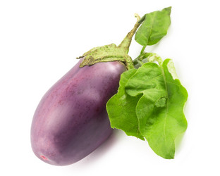 Similar image 1516978