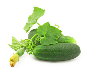 Similar image 1516980