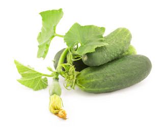 Similar image 1516981