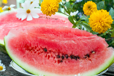 Similar image 1517796