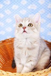 Similar image 1518090