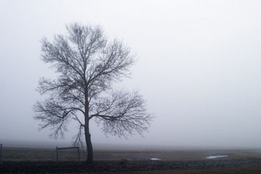 Similar image 1518242