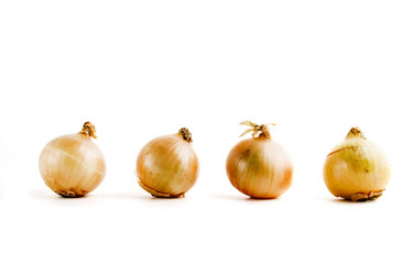 Similar image 1518245