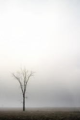 Similar image 1518255