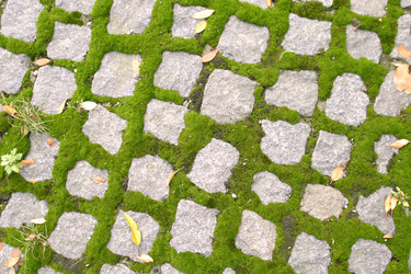 Similar image 1518342