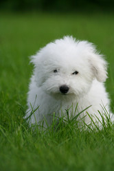 Similar image 1518409