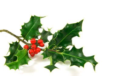 Similar image 1518432