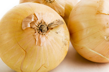 Similar image 1519012