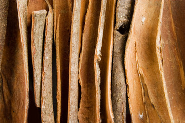 Similar image 1519029