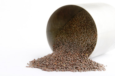 Similar image 1519044