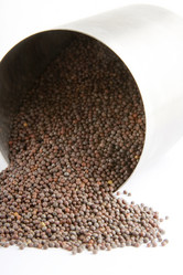 Similar image 1519046