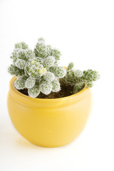 Similar image 1519062