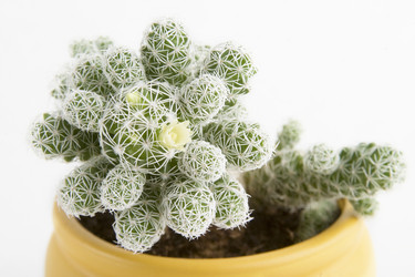 Similar image 1519063