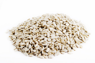 Similar image 1519113