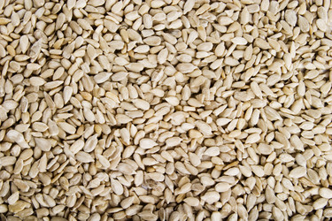 Similar image 1519124