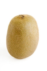 Similar image 1519172