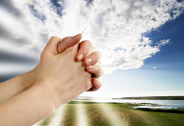 Similar image 1519210