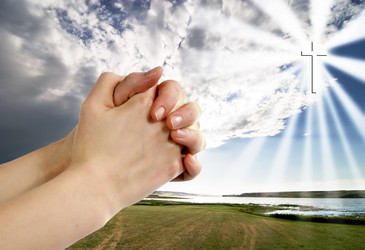 Similar image 1519211