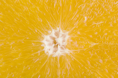 Similar image 1519259